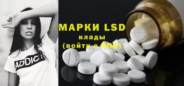 spice Алзамай