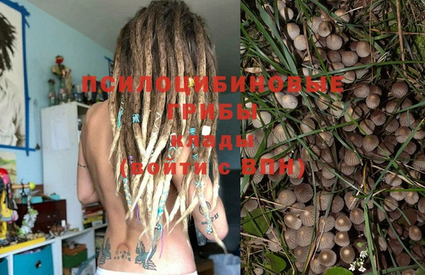 spice Алзамай