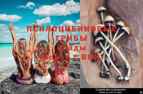 spice Алзамай